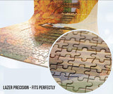 Indian Lady with Lion