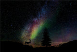 Stag in Starry Night