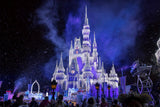 Disney Castle