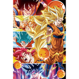 Dragon Ball Z