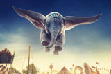 Dumbo