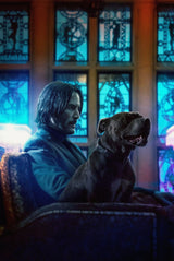 John Wick: Chapter 1