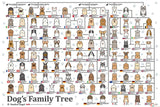 Dog's Family Tree