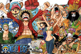 Straw Hat Pirate