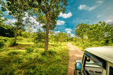 Safari in Sri Lanka