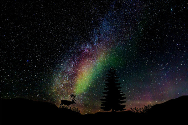 Stag in Starry Night