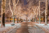 Commonwealth Avenue Winter