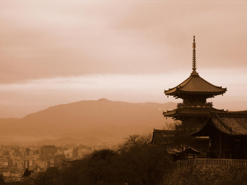 Pagoda Overlooking Kyoto Japan