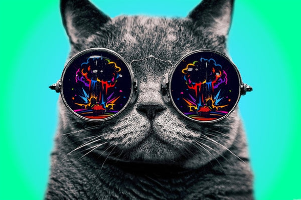 Trippy Cat