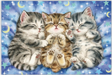 Cute Sleeping Kittens