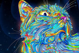 Trippy Psychedelic Cat