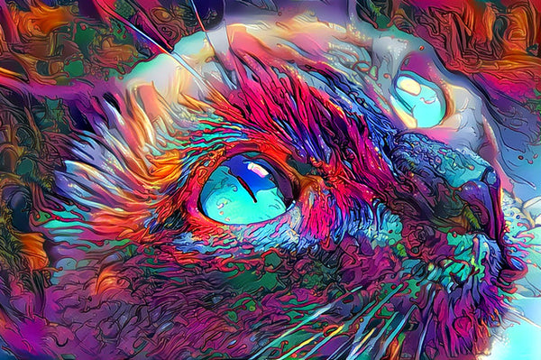 Psychedelic Cat