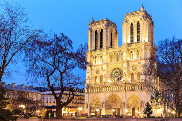 Cathédrale Notre-Dame de Paris