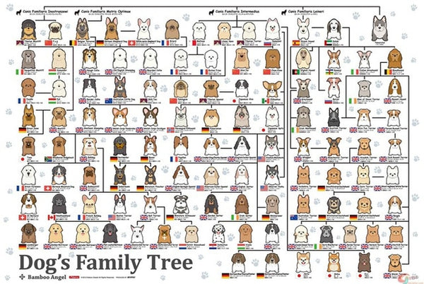 Dog's Family Tree