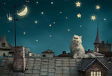 Cat and Night Sky