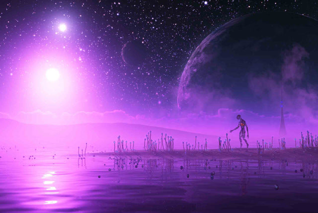 Life on Purple Planet