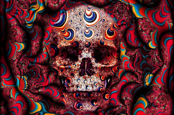 Colorful Skull