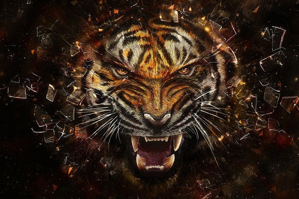 Angry Tiger