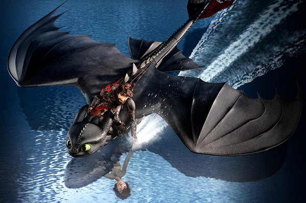 How To Train Your Dragon