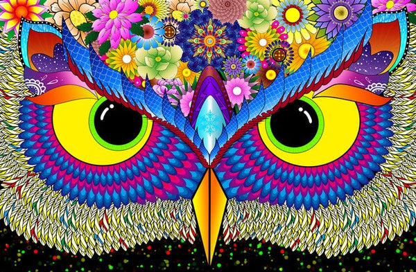 Colorful Owl