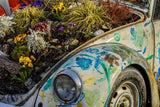Vintage Volkswagen Beetle with Flowers